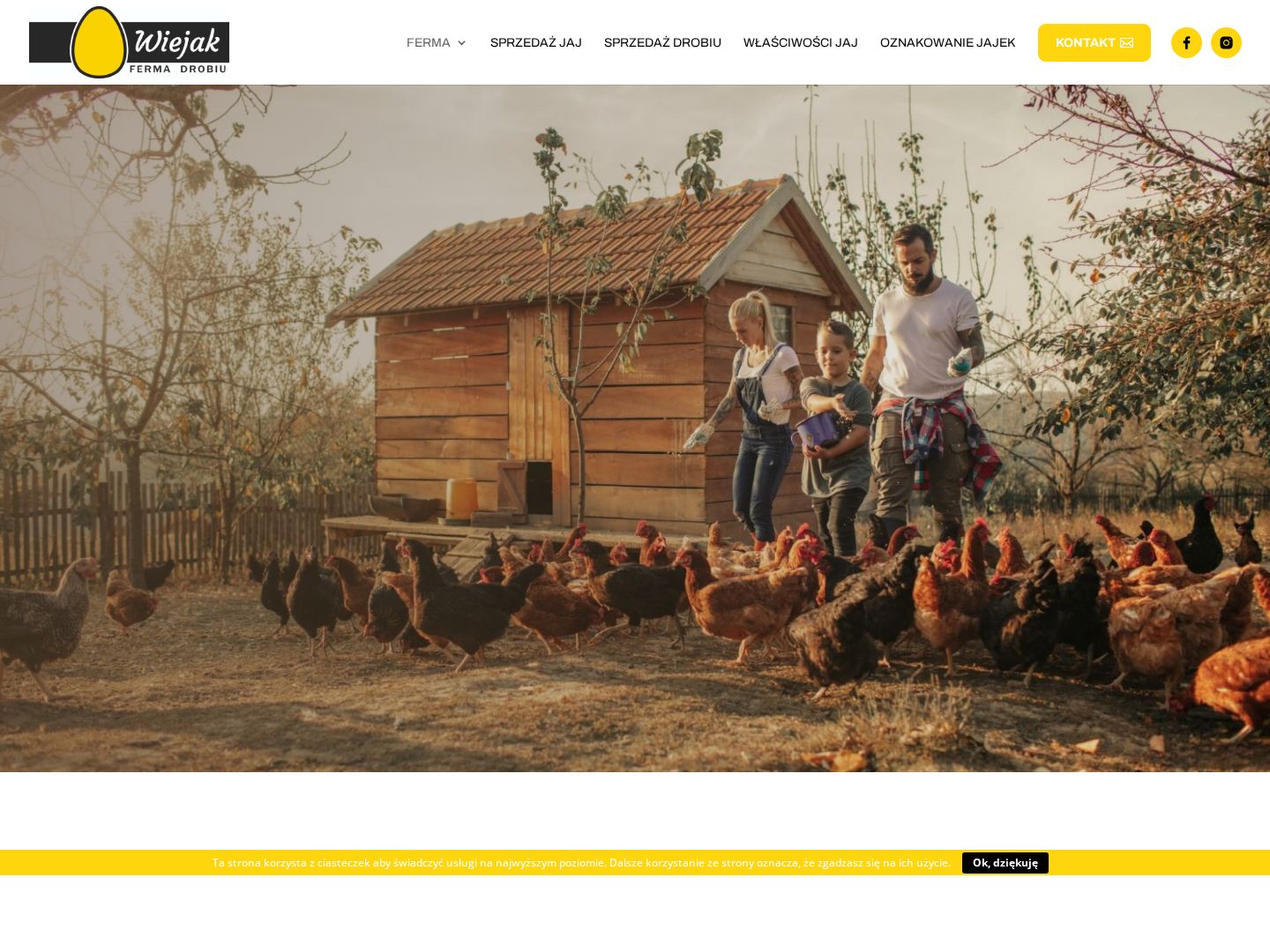 CreateWebsite — Fermy Wiejak (Eggs Investment)
